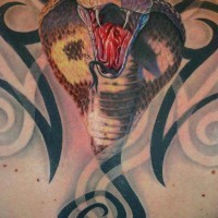 Black tribal and 3d realistic snake tattoo on back