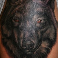 Black wolf tattoo on his shoulder