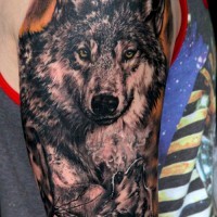 Tatuaje en el brazo, dos lobos, dibujo descolorido
