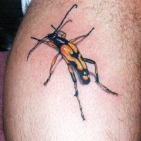 Tatuaje en la pierna, insecto largo, colores negro y amarillo