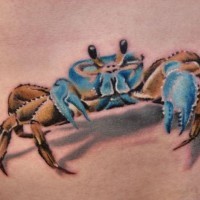 granchio blu 3d tatuaggio sulla pancia