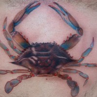 bello granchio blu tatuaggio su corpo di uomo