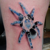 Blue tarantula  tattoo on leg