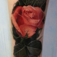 Tatuaje en el antebrazo,
rosa excelente super realista con hojas verdes oscuros