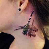 Breathtaking 3D realistic lifelike colored tremendous dragonfly tattoo sitting on neck