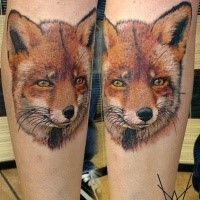 Breathtaking 3D style colored arm tattoo of nice looking fox