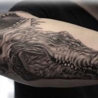 mozzafiato dettagliato grande inchiostro nero testa di  alligatore tatuaggio su braccio