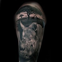 Breathtaking gorgeous looking detailed wild life with various animals and rhino