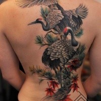 Breathtaking realism style colored birds tattoo on whole back with leaves