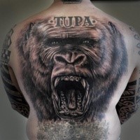 Breathtaking realism style detailed large roaring gorilla tattoo on back with lettering