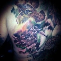 Breathtaking spectacular looking colored whole back tattoo of funny looking birds