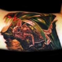 Breathtaking very detailed biceps tattoo of natural lizard