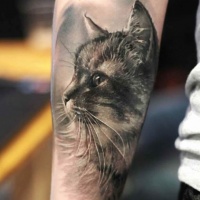 Atemberaubendes sehr detailliertes schwarzes und weißes Unterarm Tattoo mit Katzenporträt