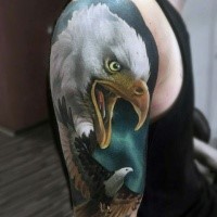 Atemberaubendes sehr detailliertes Schulter Tattoo mit Adlerkopf