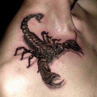 Breathtaking very realistic colored big scorpion tattoo on shoulder