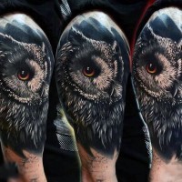 Breathtaking very realistic colored owl tattoo on half sleeve area