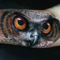 Breathtaking very realistic looking big owl tattoo on arm