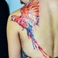 Bright colored macaw parrot detailed tattoo on shoulder blade in watercolor style