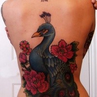 Brilliant gemaltes farbiges  schwarzes Tattoo mit der schönen Pfau und Blumen