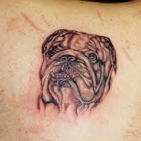 Bulldog with teeth out tattoo