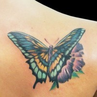 Tatuaggio colorato sulla spalla la farfalla