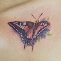 Tatuaggio colorato sulla clavicola la farfalla