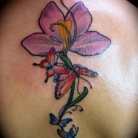 Tatuaggio colorato sulla schiena le farfalle & il fiore