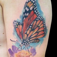 Tatuaggio colorato  la farfalla sul fiore