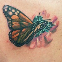 Butterfly on flower tattoo
