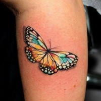 Papillon le tatouage sur la jambe