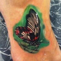 Tatuaje en el pie, mariposa se sienta en el césped
