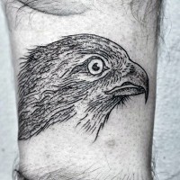 Carelessly drawn black ink small eagle head tattoo