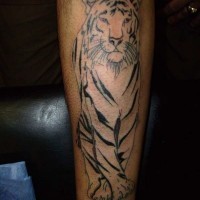 Carelessly painted black and white forearm tattoo of rare tiger