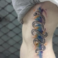 Carelessly painted colorful side tattoo of nice snake