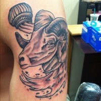 Tatuaje  de ovis fantástico  en el brazo