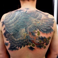 Cartoon like amazing colored big eagle tattoo on upper back