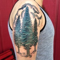 Cartoonisches farbiges Schulter Tattoo mit drei Bäumen und Adler