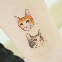 Tatuagem colorida estilo cartoon de retratos de gatos