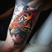 Tatuaje colorido en el brazo, tigre precioso que ruge