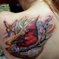 Tatuaje en la espalda,
pájaro rojo hermoso en la rama y mariposa bonita
