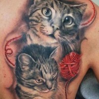 Tatuaje en el omóplato de gatos y una bola roja de hilo.