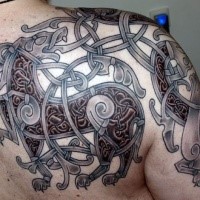 Celtic style colored shoulder tattoo of lion