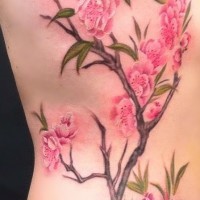 Cherry blossom tattoo on ribs