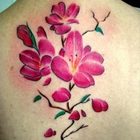 Floraison de la cerise le tatouage en couleur