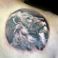 Circle shaped detailed back tattoo of lion portrait