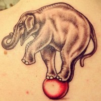 Tatuaje en la espalda, elefante en la bola roja
