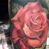 Tatuaggio super realistico la rosa con la rugiada