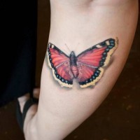 Tatuaggio colorato 3D sulla gamba la farfalla