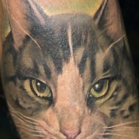 Tatuaje en el brazo, retrato de un gato gris
