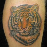 Color ink tiger face tattoo on leg
